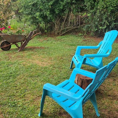 Hilltop Farm Valley View Cottage Henburg Park Extérieur photo