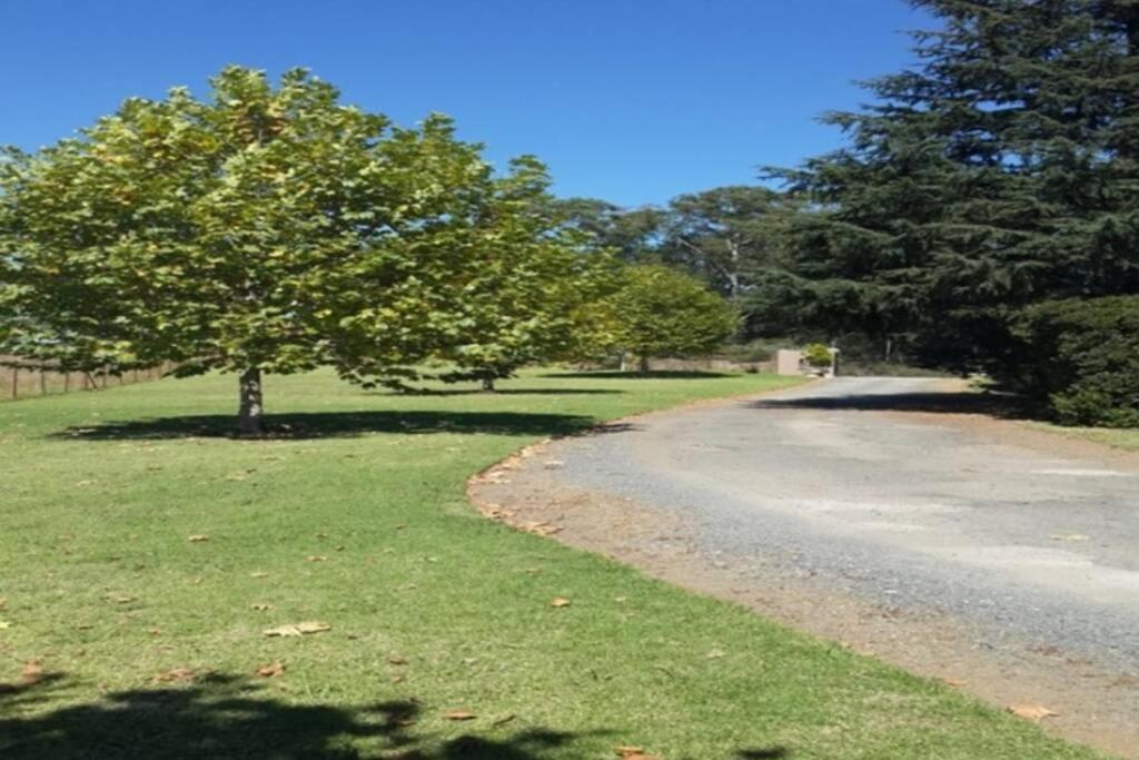 Hilltop Farm Valley View Cottage Henburg Park Extérieur photo
